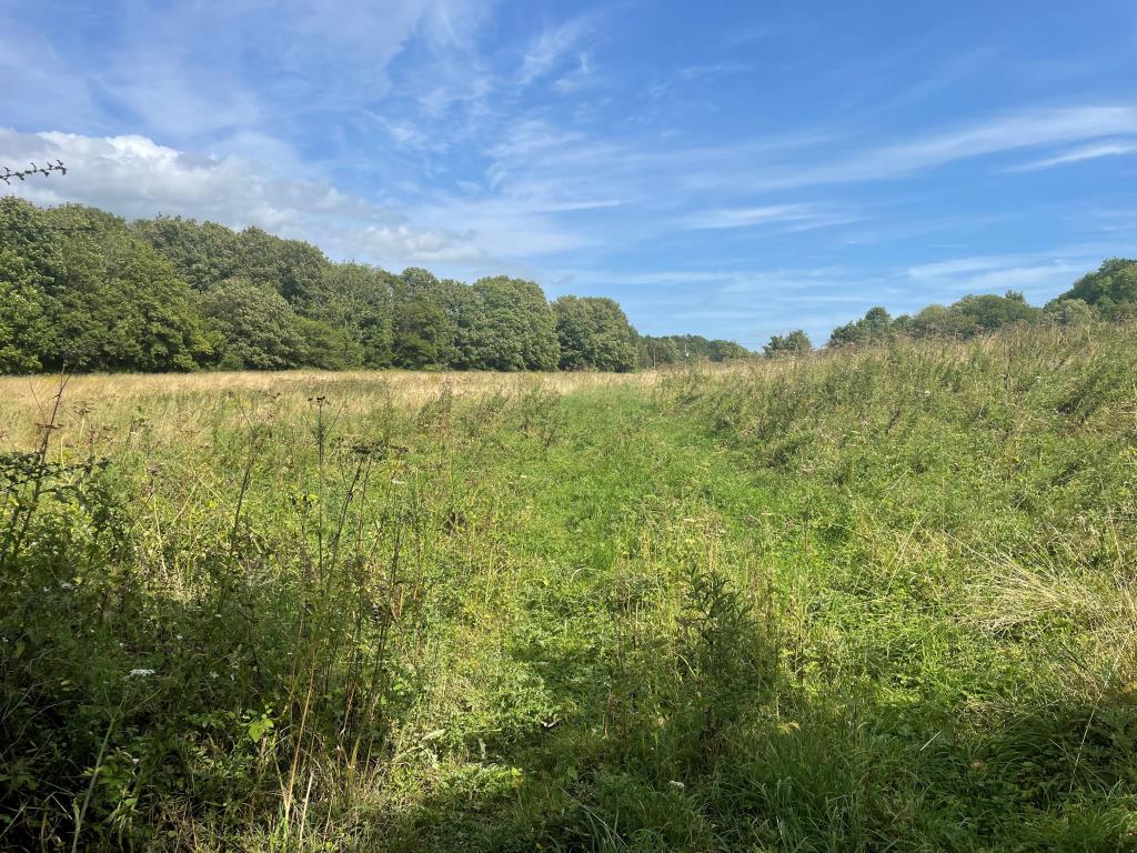 Lot: 8 - FREEHOLD COMMERCIAL OPPORTUNITY WITH POTENTIAL IN FAVOURED SOUTH DOWNS LOCATION - East view of paddock from yard area to rear